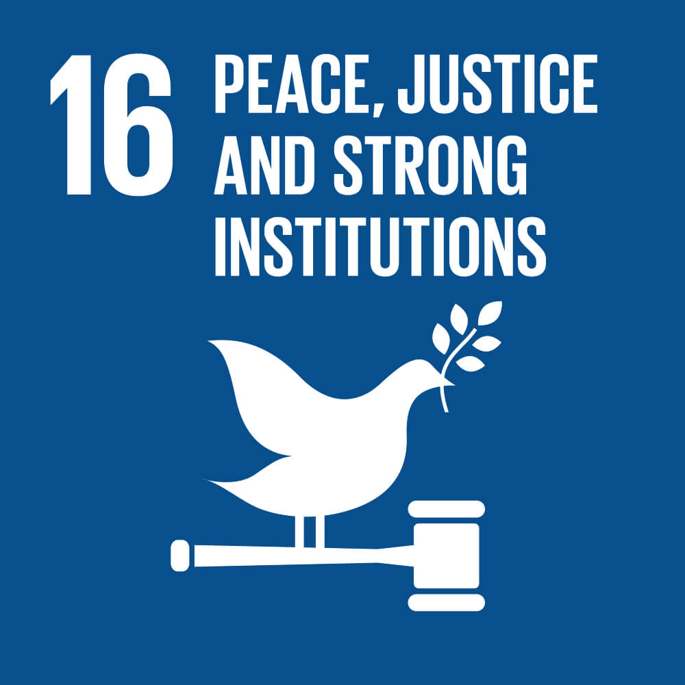 16 - Peace, Justice and strong institutions